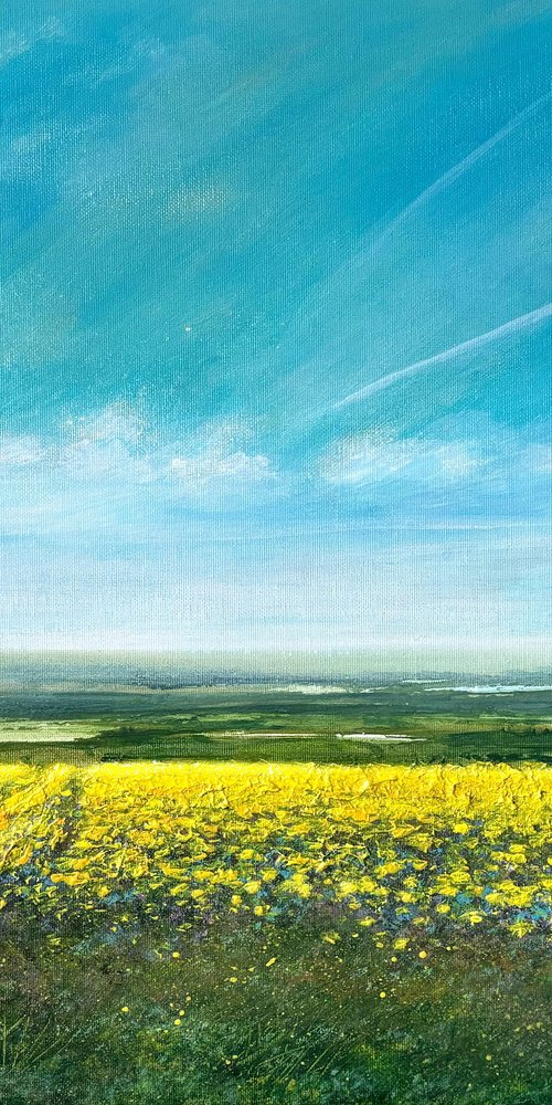 A Dream Of Summer by Jennifer Taylor
