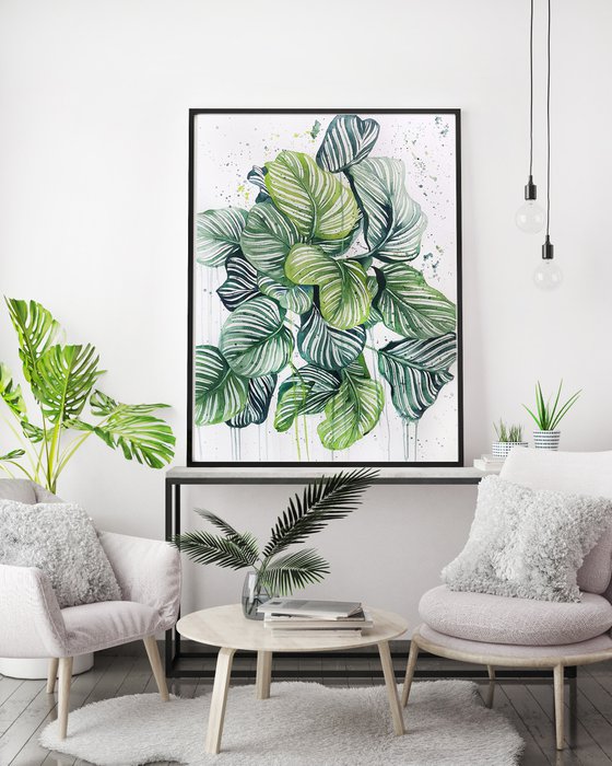 Abstract Calathea Orbifolia