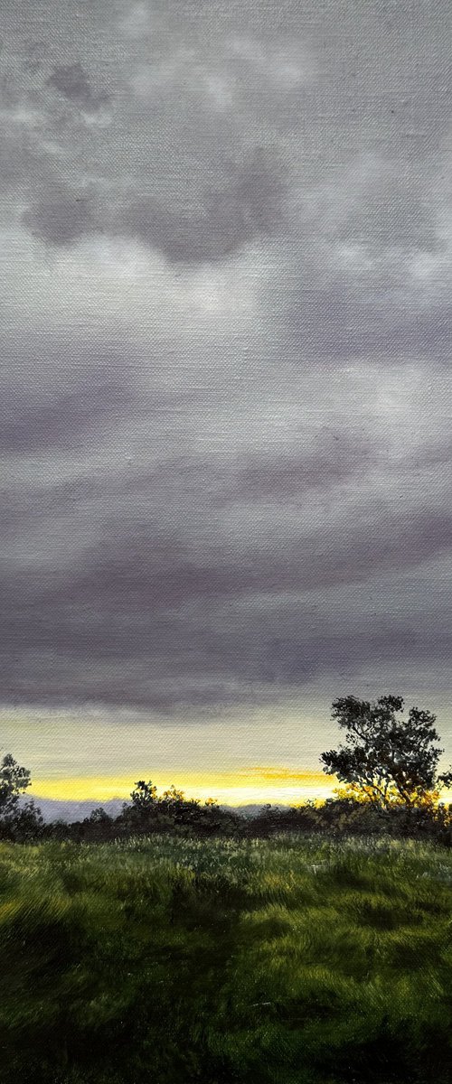 Sunset by Igor Dubovoy