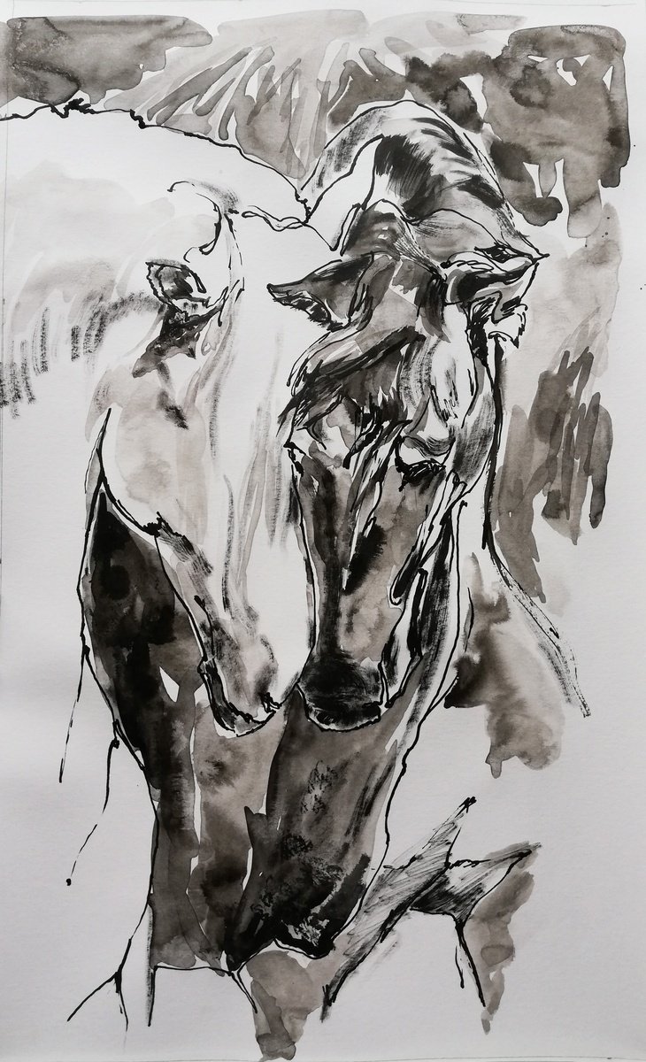 Impressionistic Ink Drawing , Whisper By Jelena Djokic, 11 X 17, Artwork For Sale On Artfinder