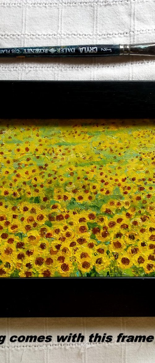 Miniature Sunflower fields by Asha Shenoy