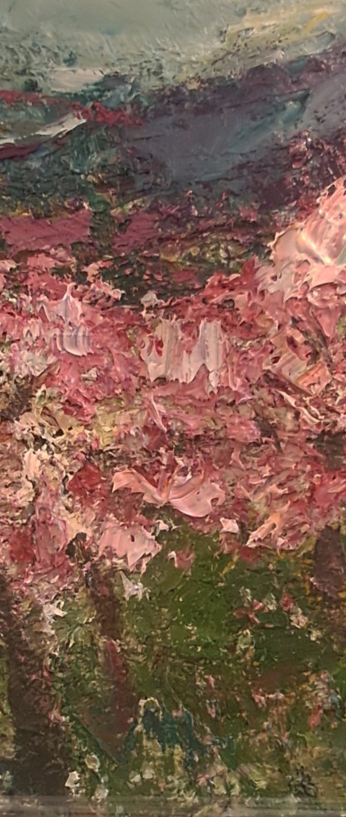 Cherryblossoms by Deborah Donnelly