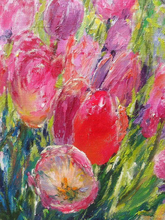 Spring. Tulips.