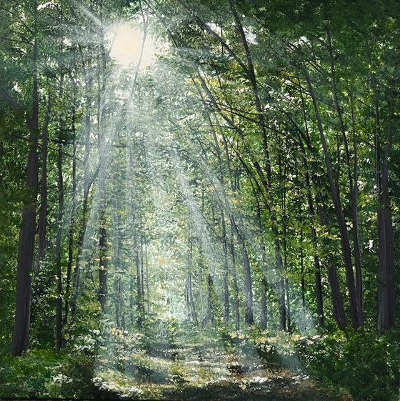 Where The Light Finds You