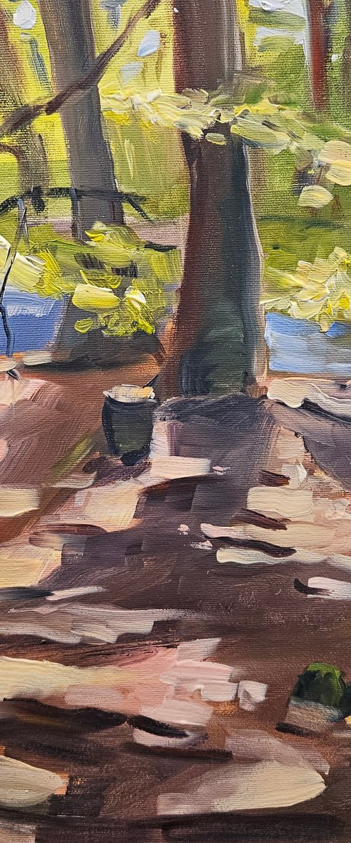 Sunny forest by Vera Stein