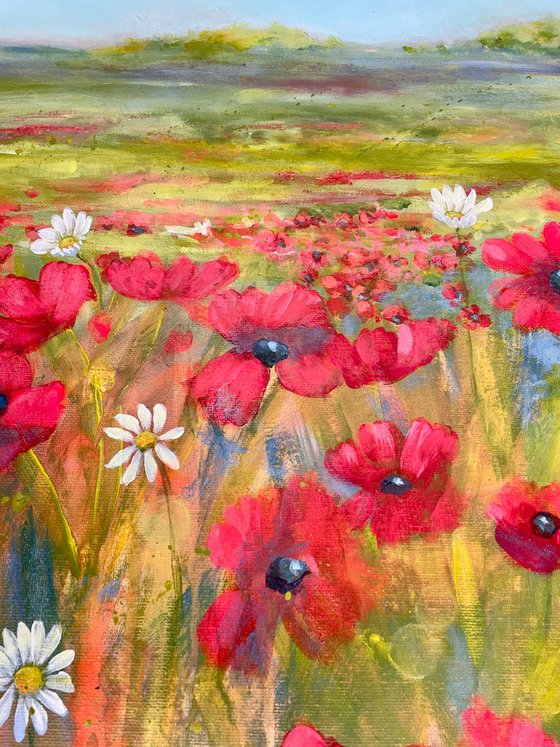 Poppy Fields