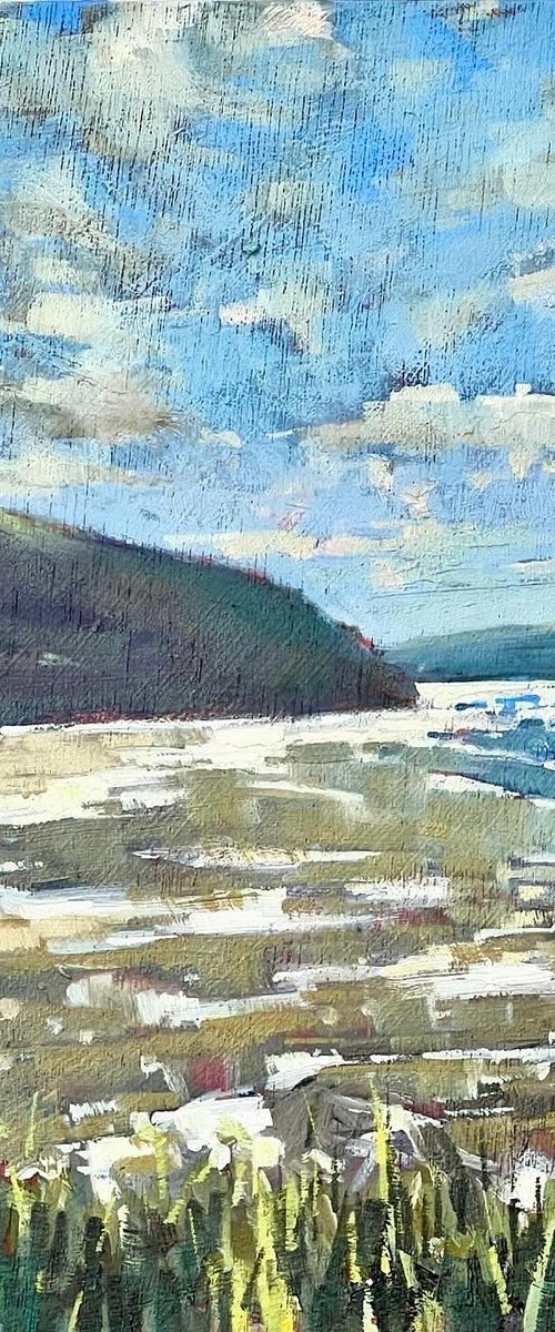 Daymer Bay, winter by Louise Gillard