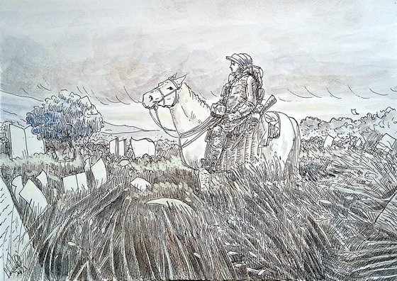 Traveler on horseback in the plain of scattered pages