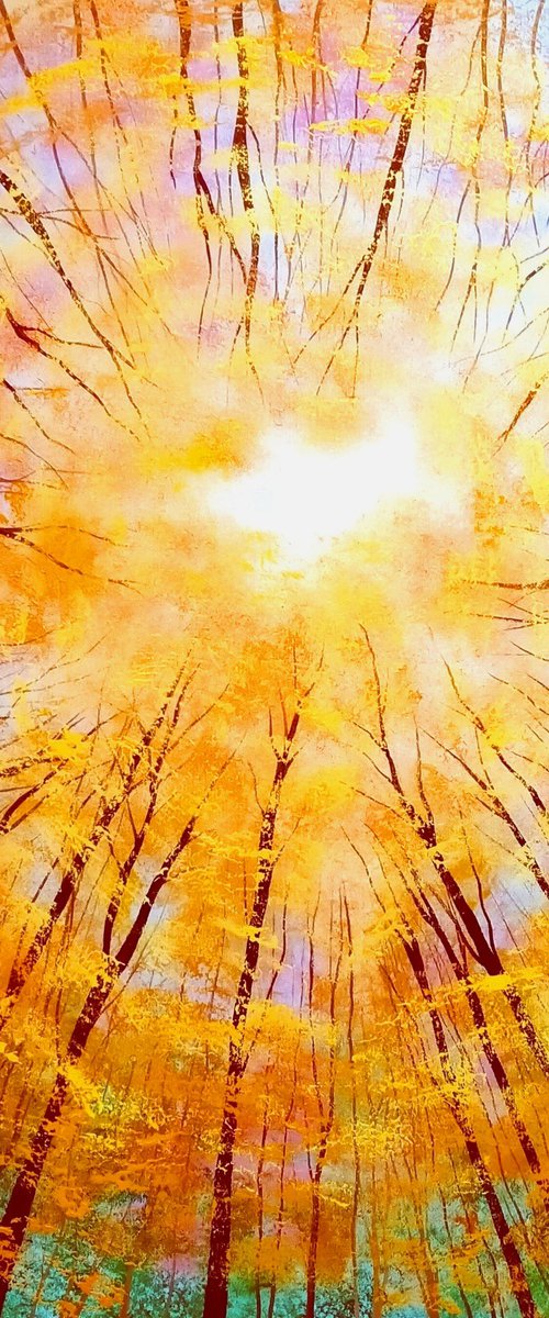 Woodland Sky Gazing by Amanda Horvath