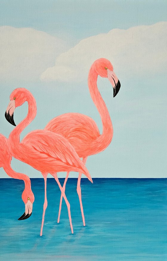 Flamingo Dreams