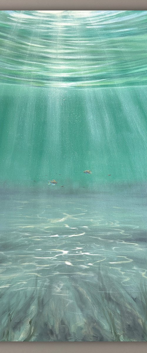 Where Pretty Fishes Live by Eva Volf