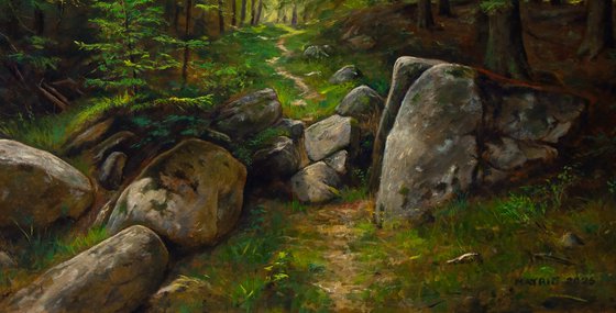 Through the Forest