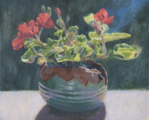 Sunlit geraniums in a frost shattered pot by Mark Taylor