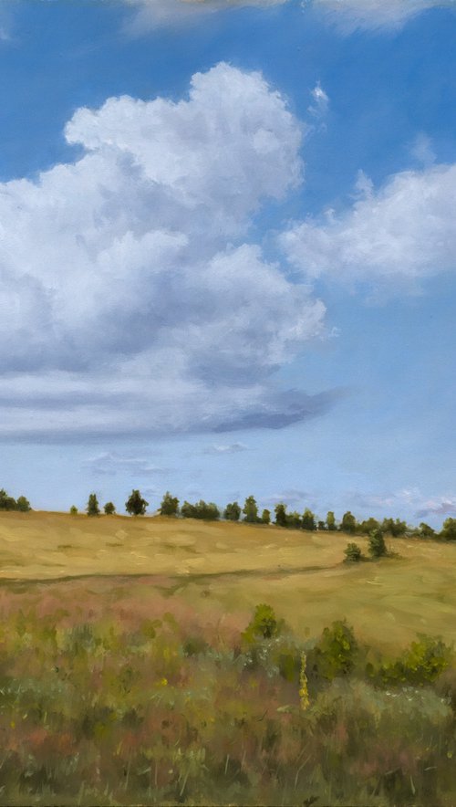 Cloud and Meadow by Dejan Trajkovic