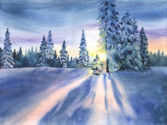 Winter Forest in Gentle Sunlight