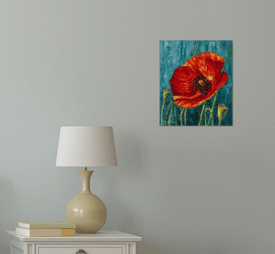 Red poppy