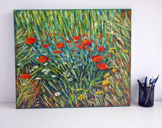Poppies and marguerites