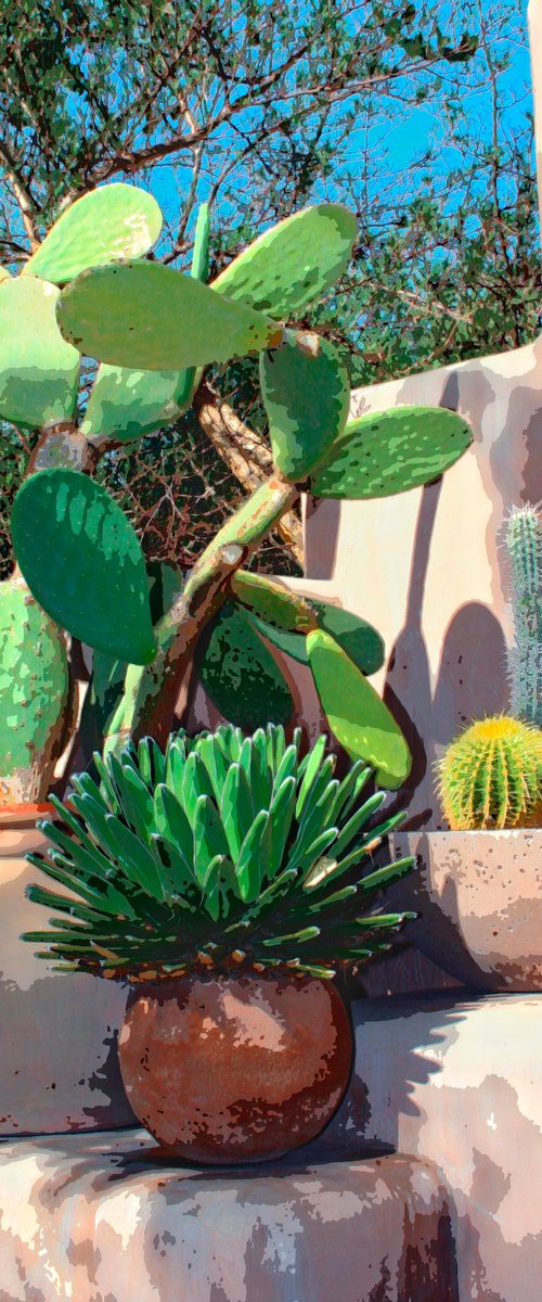 CACTUS CORNER Desert Hot Springs CA by William Dey