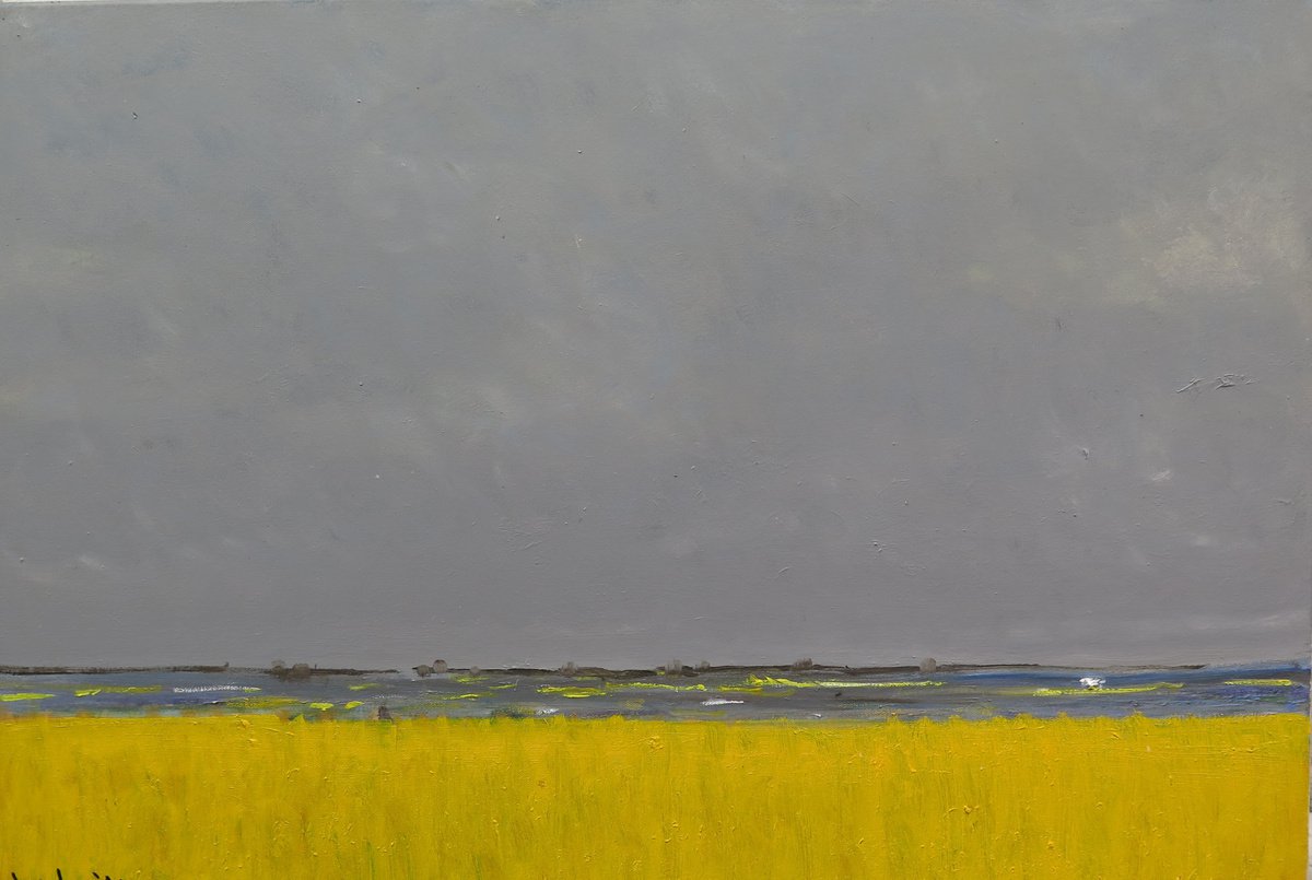 Rain and Rapeseed by Malcolm Ludvigsen