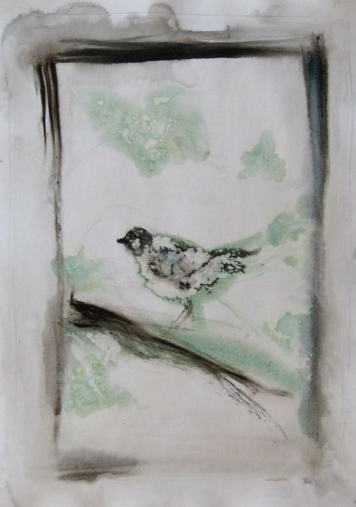 Birds of the park Monceau 3, 41x29 cm by Frederic Belaubre