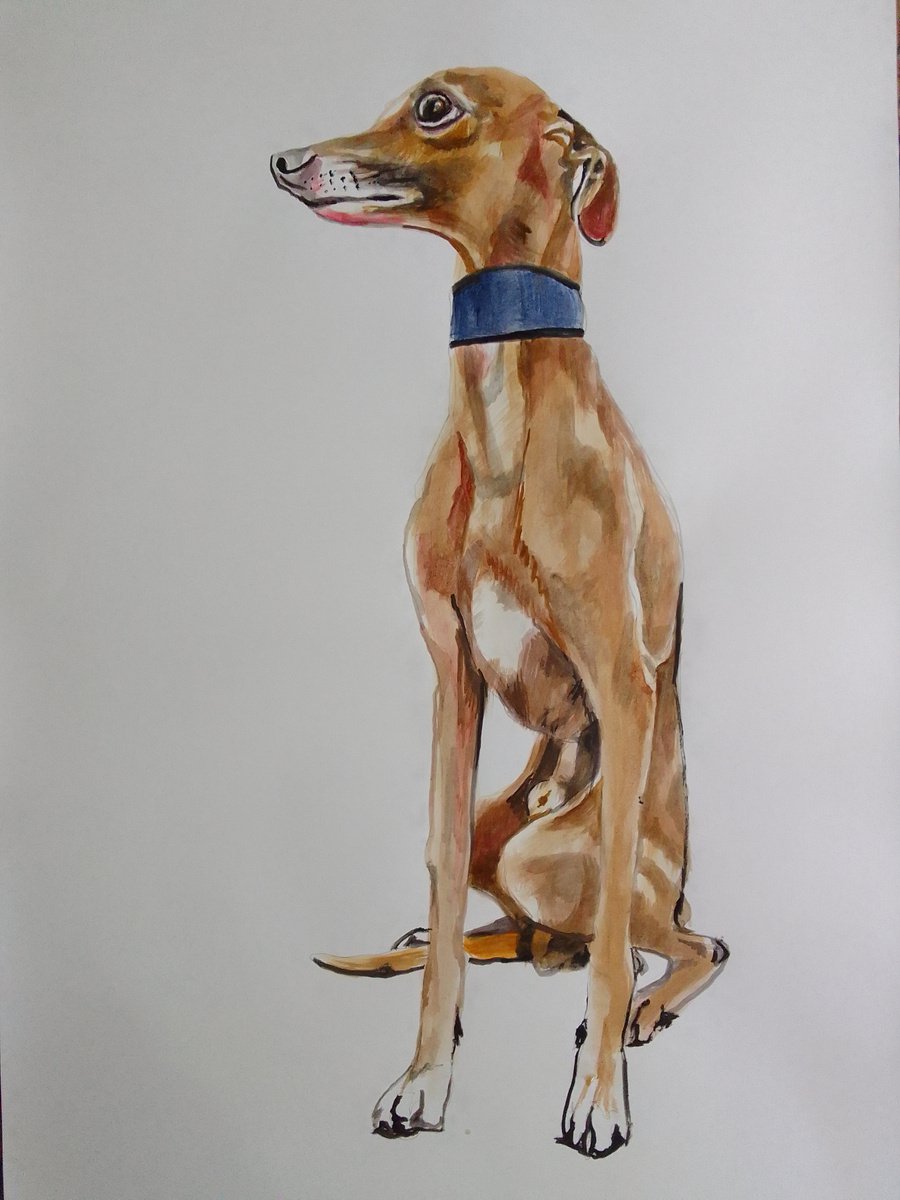 Photorealistic Animal Acrylic Painting By Soso Kumsiashvili, 24 X 33", Whippet, Original Artwork
