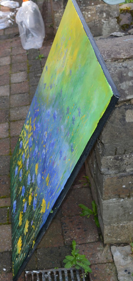 Blue cornflowers 79