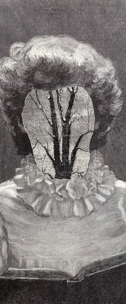 Winter trees at Christmas by Tudor Evans