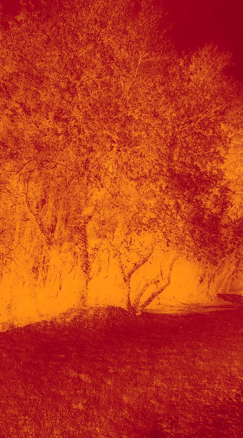 Echoes in Gold IV by Viet Ha Tran