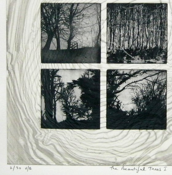 The Beautiful Trees No.1