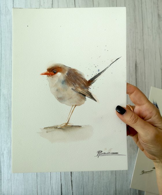Wrens - triptych