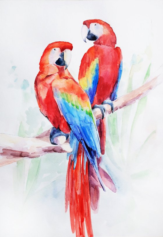 Watercolor painting Couple of birds Parrots