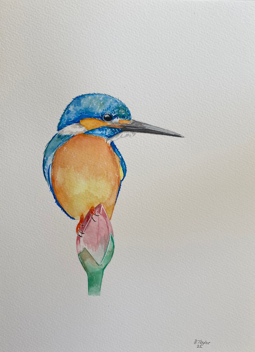 King of the river no2 watercolour painting by Bethany Taylor