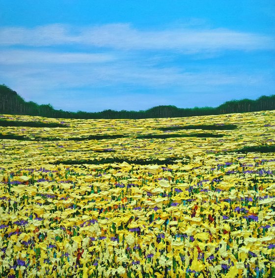 Summer Golden Fields