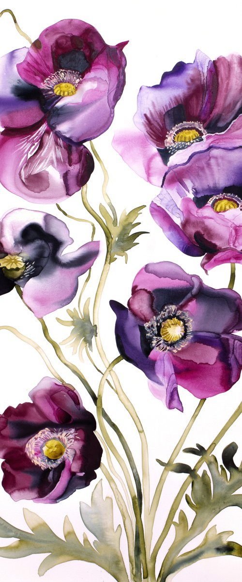 Poppies No. 8 by Elizabeth Becker