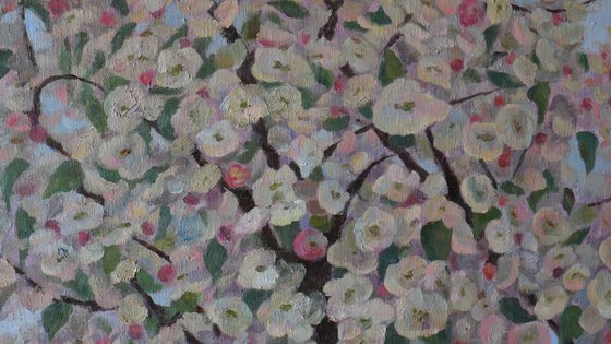 The Blooming Tree