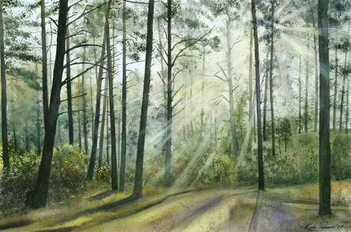 In the forest, 55x37 cm by Tetiana Koda