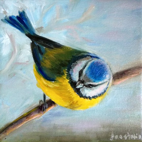 Wildlife Art Blue Tit Bird Painting  Blue Yellow White Chickadee Art Original Oil on Canvas