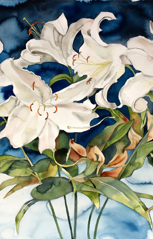 Lily Bouquet by Elizabeth Becker