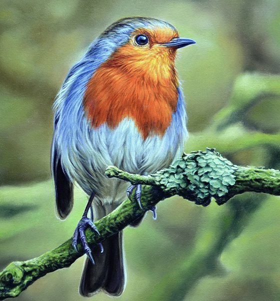 Robin