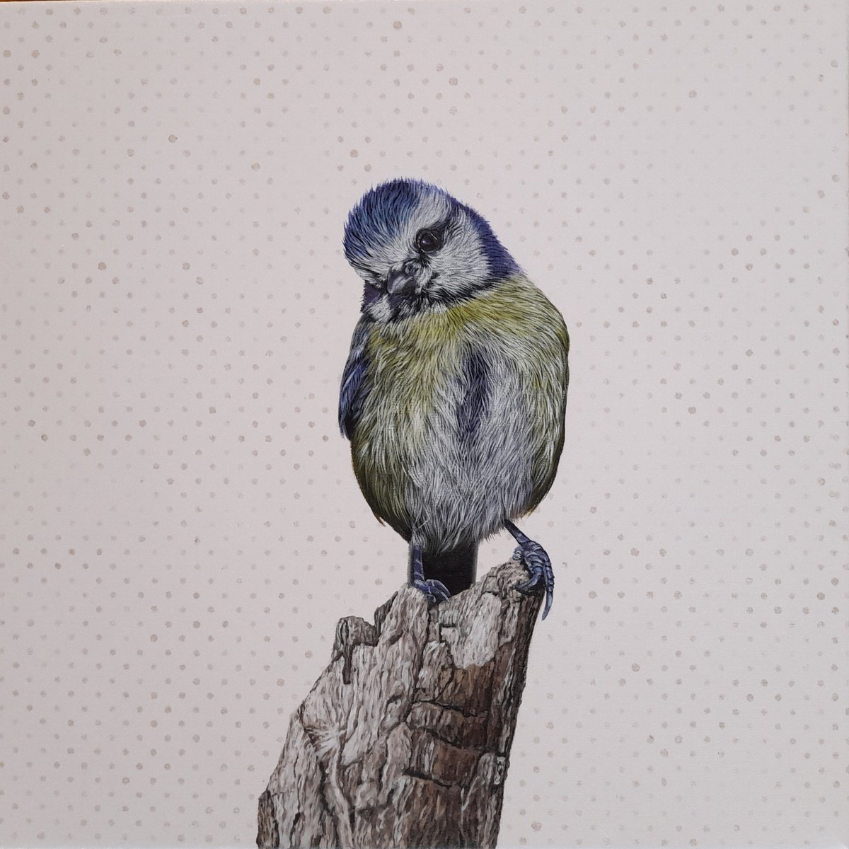 Photorealistic Animal Acrylic Painting By Claudia Daminato, 12 X 12, Adorable, Original Artwork