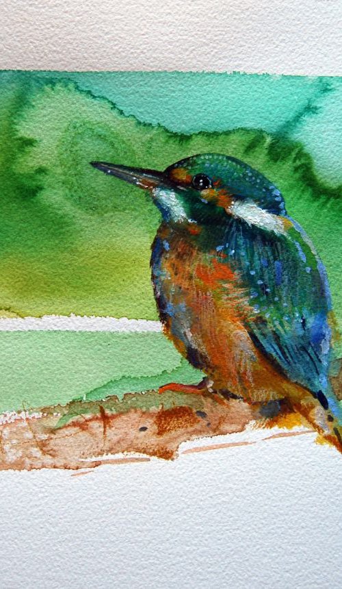 The little kingfisher by Trevor Salisbury