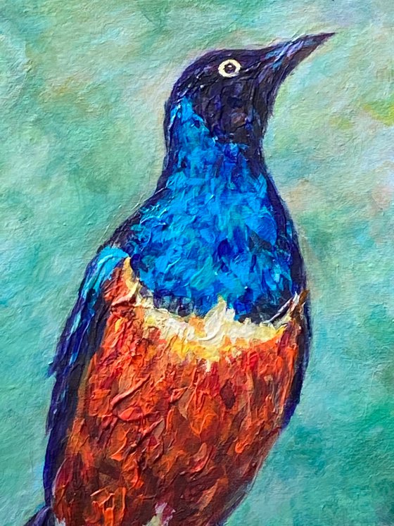 Super Starling bird painting, exotic bird portrait, bird painting, wild bird painting