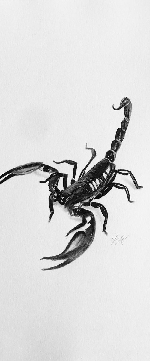 Scorpion by Amelia Taylor
