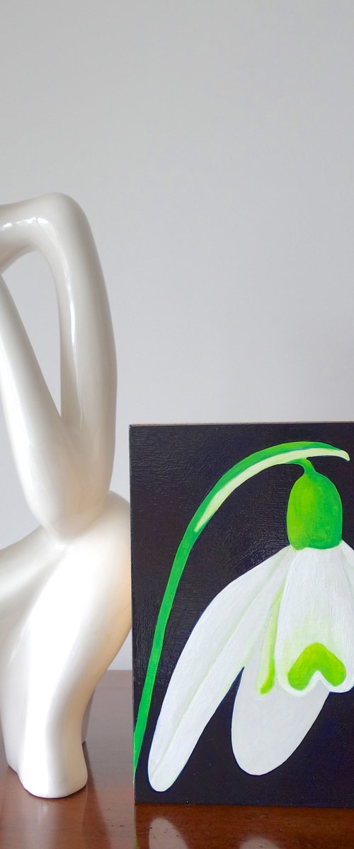 Snowdrop by Susan Porter