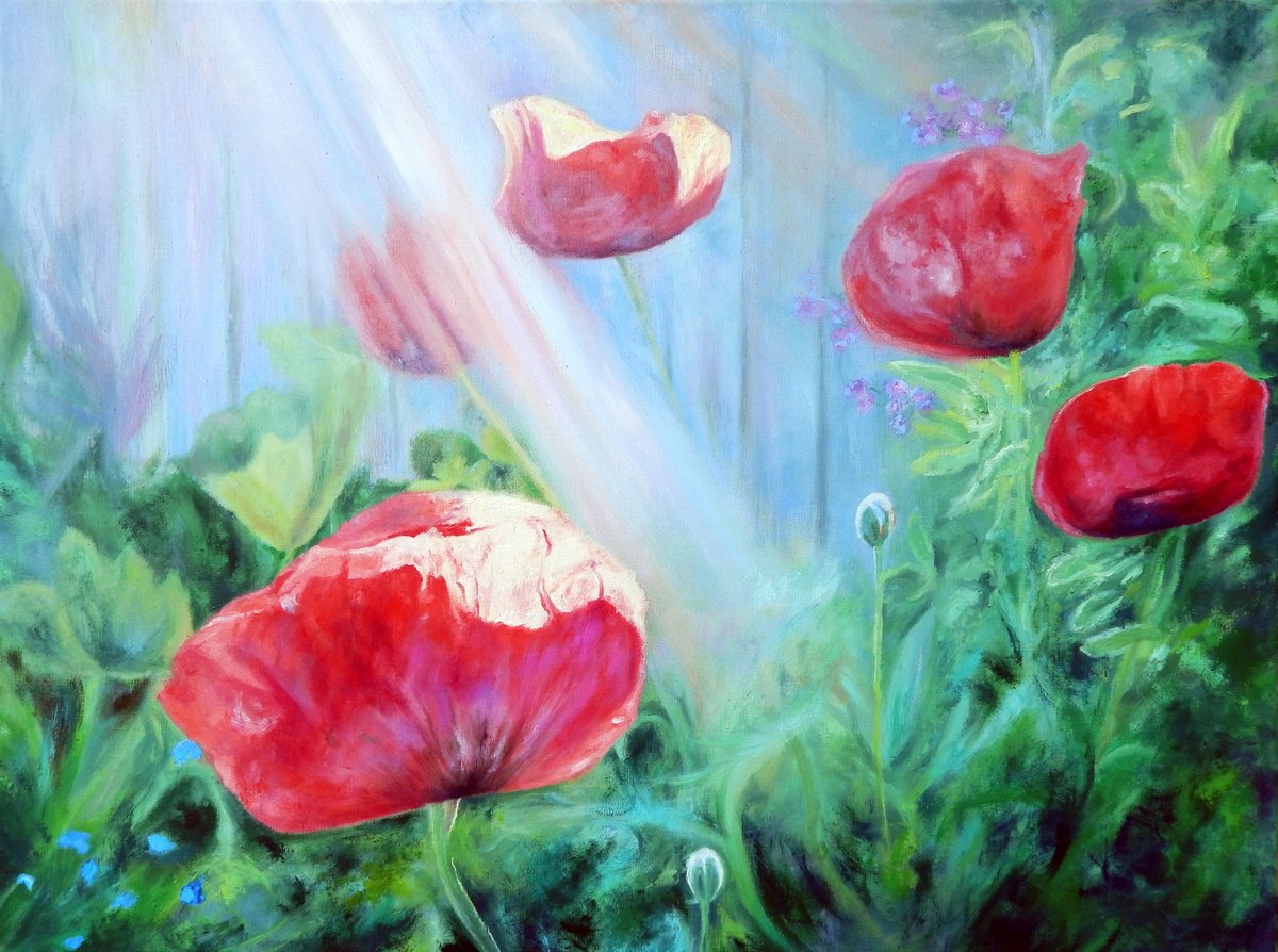 Poppies in the garden by Richard Freer
