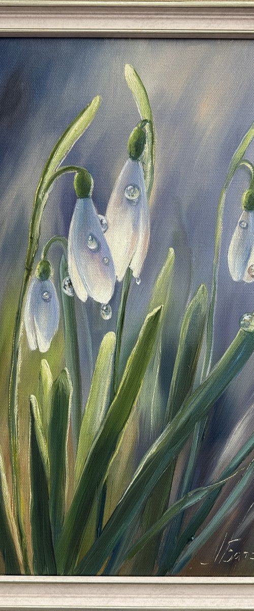 Snowdrops by Larisa Batenkova