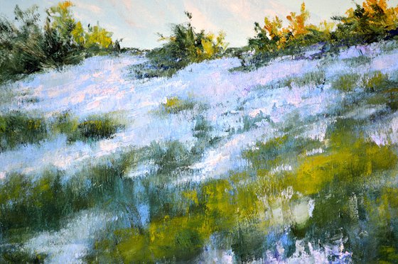 Wild lavender in the haze of the morning sun
