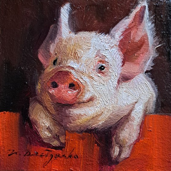 Pig portrait