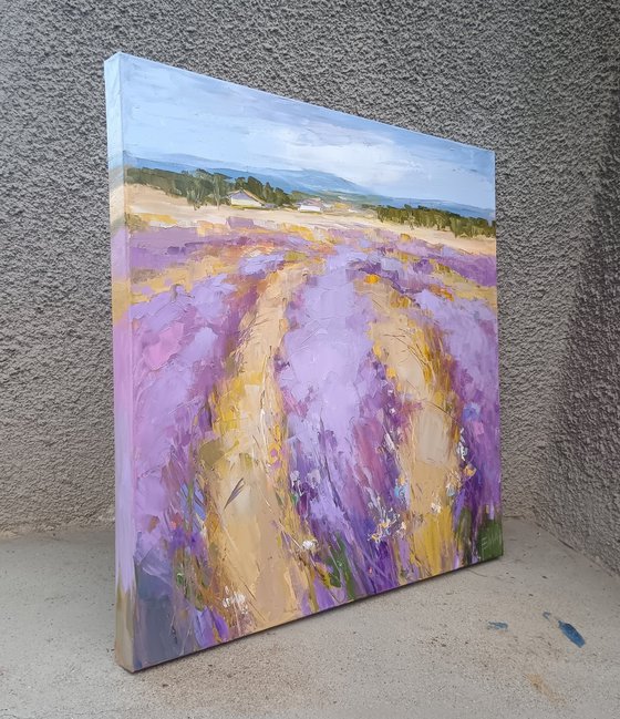 LAVENDER TIME