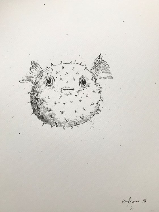 how to draw a real puffer fish